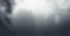 forest - bg-2.webp