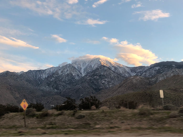 PALM SPRINGS: Desert Modern