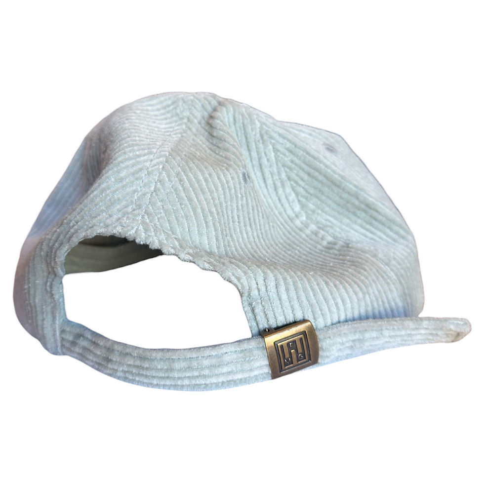 Thumbnail: Space Porpoise Corduroy Hat
