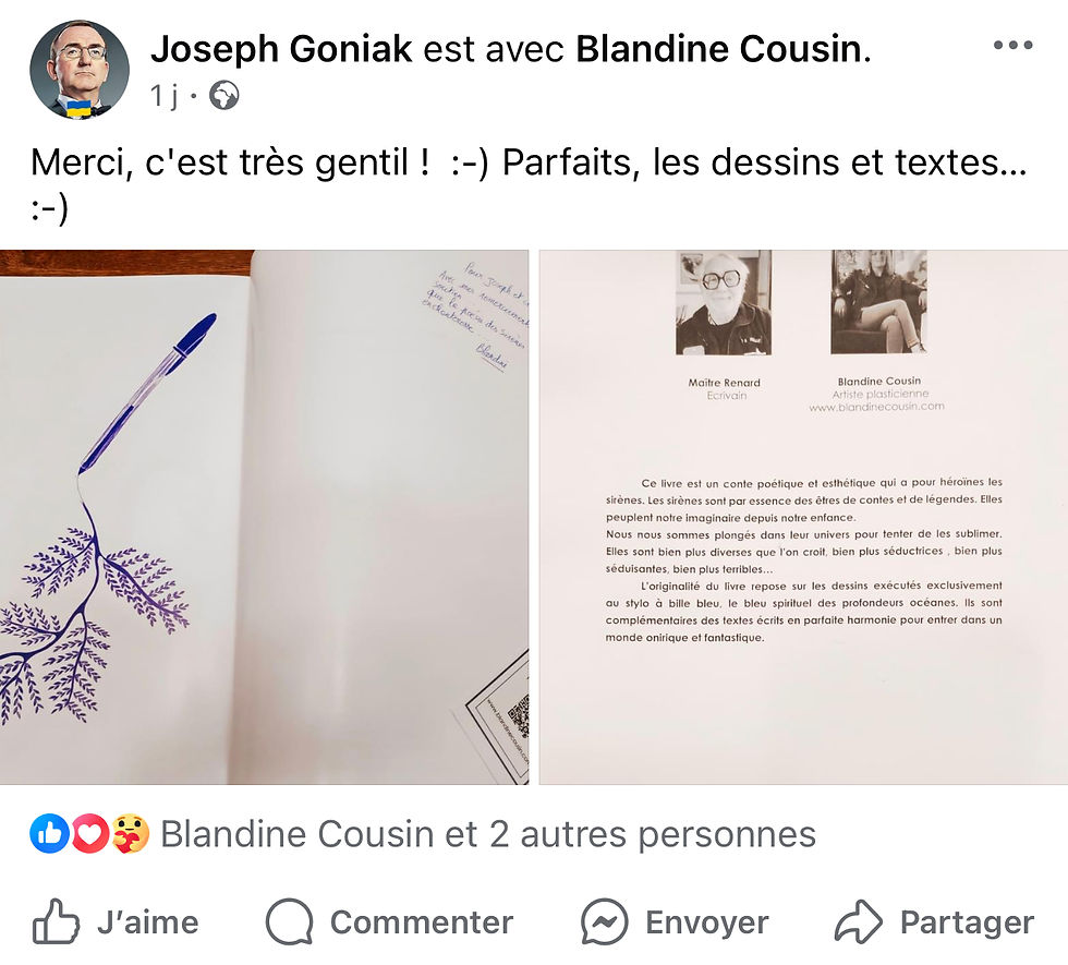 Miniature : Si les Sirènes m’étaient contées : le livre 