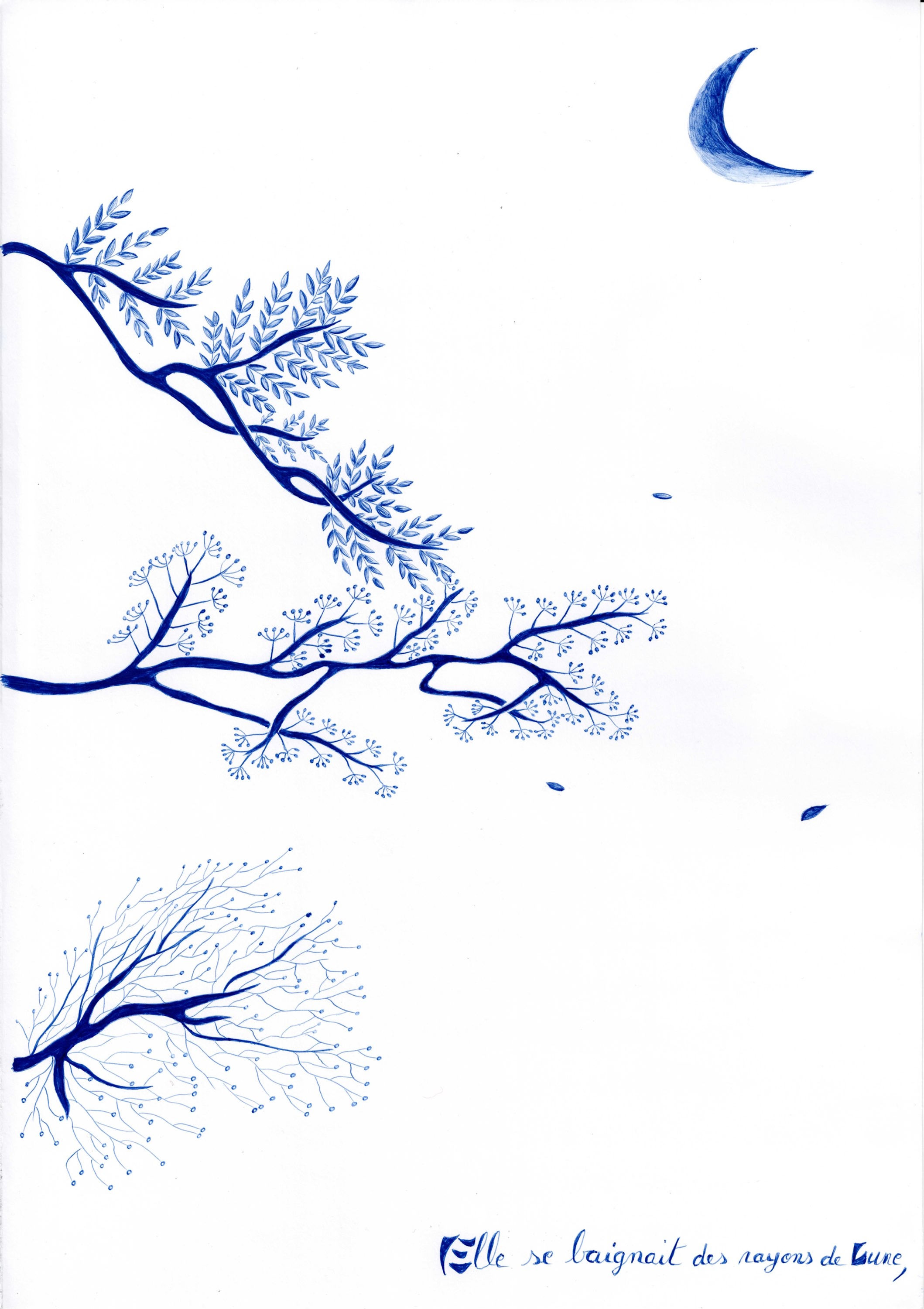 Si la mer m'était contée, n°11