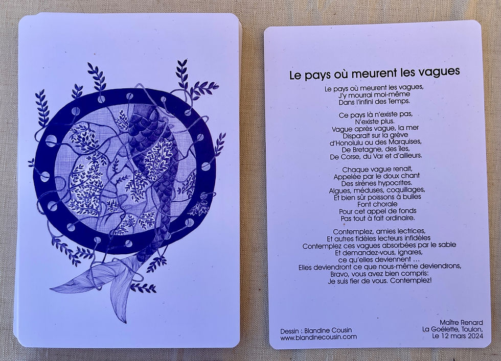 Miniature : Cartes Poèmes Illustrés « Si les Sirènes m’étaient contées »