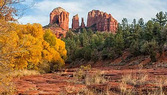 Arizona Autum.jpg