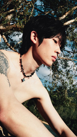 苔跡｜Moss Trace VII 