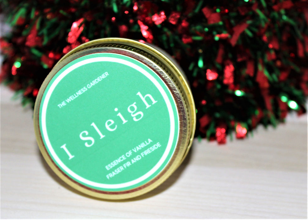 Thumbnail: Holiday Wellness Set