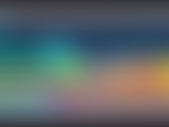 Identity Versus Diversity