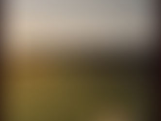 Evening Fields