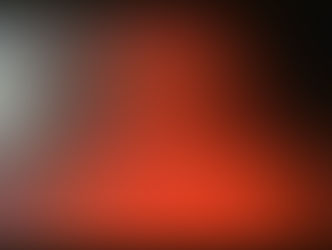 Everything Tastes Bitter