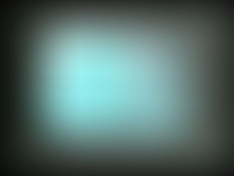 Something Pretty In A Drab World