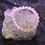 Thumbnail: Rose Quartz Natural Gemstone Bracelet
