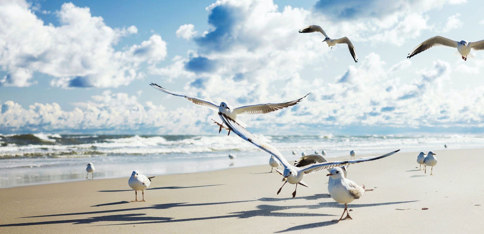 West Farm Southerndown Coastal Retreat