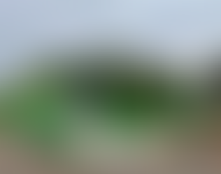 CÂMARA REFERENDA PARCERIA PARA INVESTIMENTOS NO CIMMAD