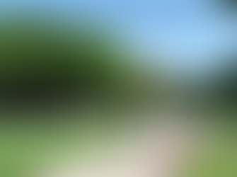 Vamos a Reactivar tu Negocio por un Buen Vivir