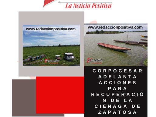 Corpocesar adelanta acciones para recuperación de la Ciénaga de Zapatosa