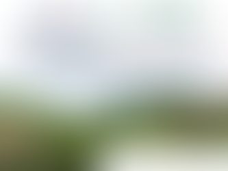 Corpocesar monitorea ecosistemas claves, para disminuir la pérdida de la biodiversidad