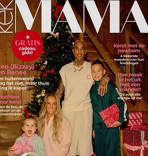 Ontwerp zonder titel - 2025-11-17T164901.990.png