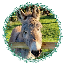 Willow Vale Animals (6).png