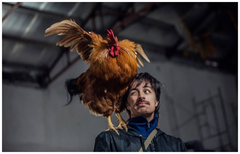 GALLOS ROJOS (Serie de T.V)