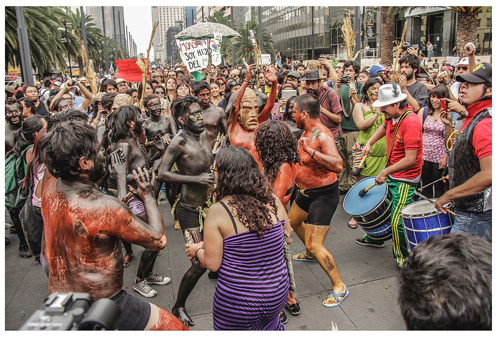 Marcha Contra Monsanto en DF