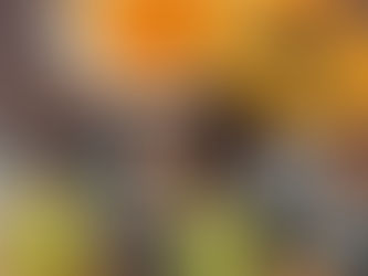 The Papaya…food is medicine