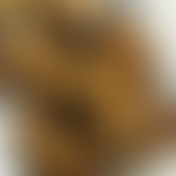 Blondies have more fun than Brownies