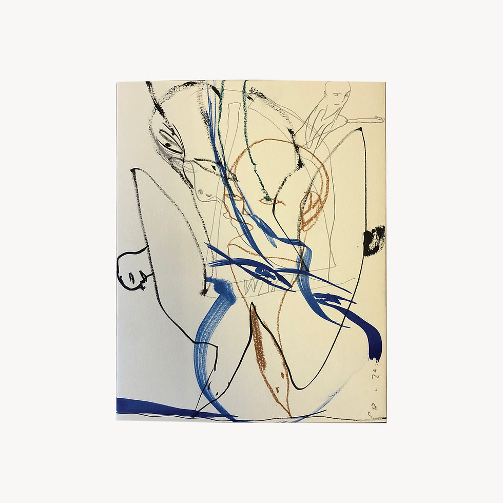 Thumbnail: Hand drawn covered book 'The Birds' 1/10