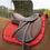 Miniature : Tapis de selle EQUITHEME Satin