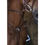Miniature : Collier de chasse + martingale NORTON PRO