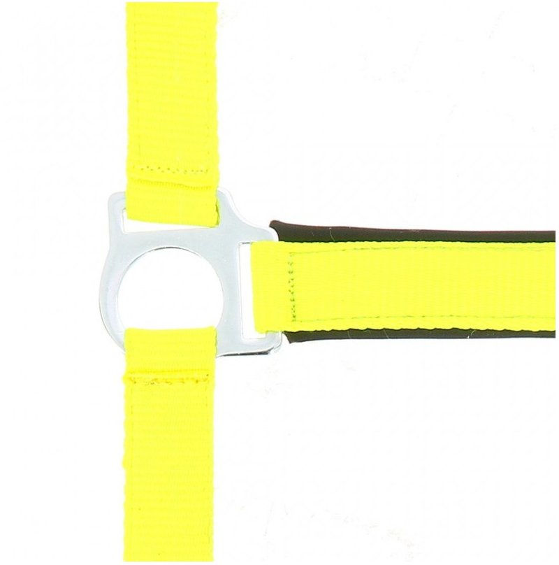 Licol NORTON Fluo doublé