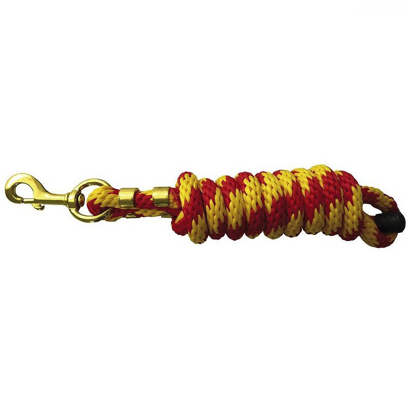 Miniature : Longe d'attache NORTON jaune/rouge