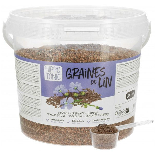 Graine de lin HIPPOTONIC