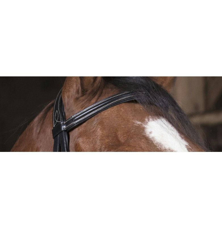 Miniature : Bridon NORTON Pro fin