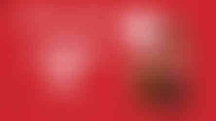 Reopening Specials at Quickie Albion road 5546 Albion Road South, Gloucester, ON / Coca cola 1L all flavours at $2.49