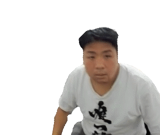 4 元寶.gif