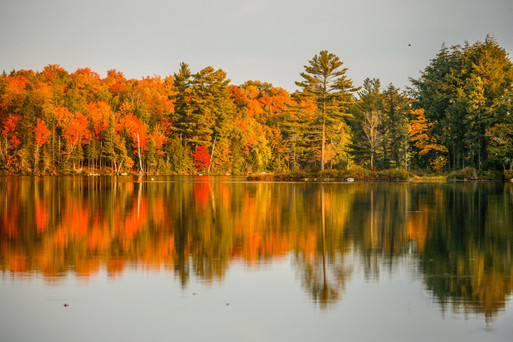 Deer Lake Fall