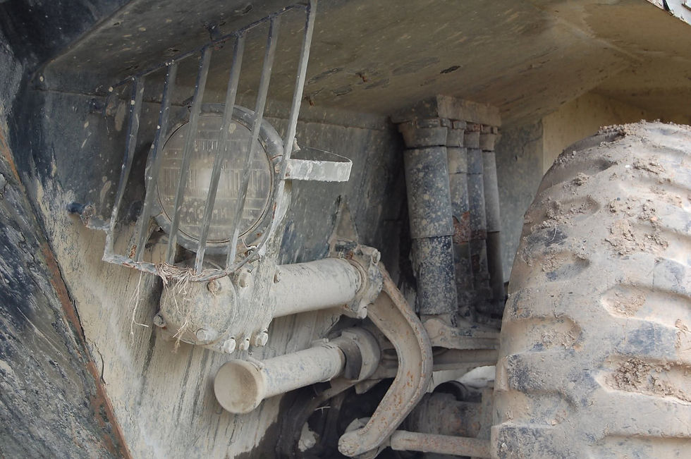 542765283_10230284570323110_4578190306221403292_n