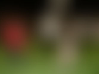 Barrio “La Primavera” cuenta con nueva área recreativa