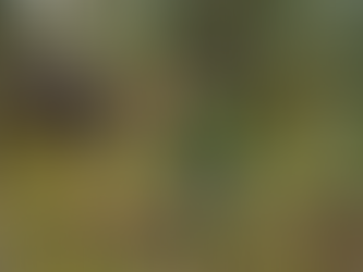 Inician jornadas de mingas de limpieza en la quebrada Las Abras con el programa jóvenes en acción