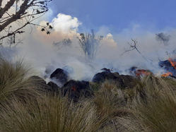 Incendio forestal de gran magnitud se registró en Gallo Rumi