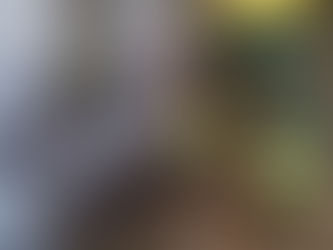 Bomberos atendieron 25 emergencias en una semana