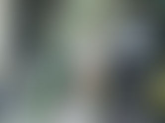 Evitaron que se lanzara del puente