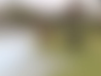 Bomberos capacitaron a militares de la Brigada Blindada N°11 Galápagos