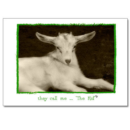 They Call Me the Kid