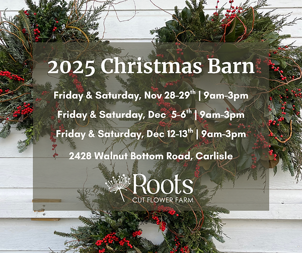 2025 Roots Christmas Barn.png