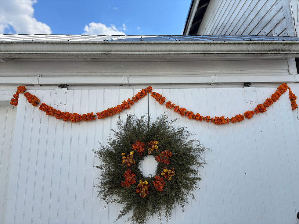 Make Your Own Marigold Garland with Marcy - 9/6/25