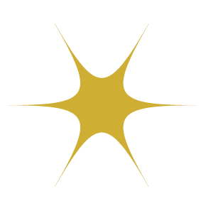 étoile-jaune.gif