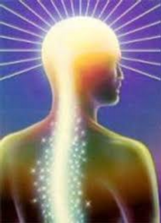 Ch spine and crown.png