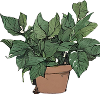plant.png