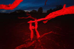deva tree red.jpg