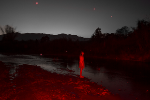 mosquitos on the water.png